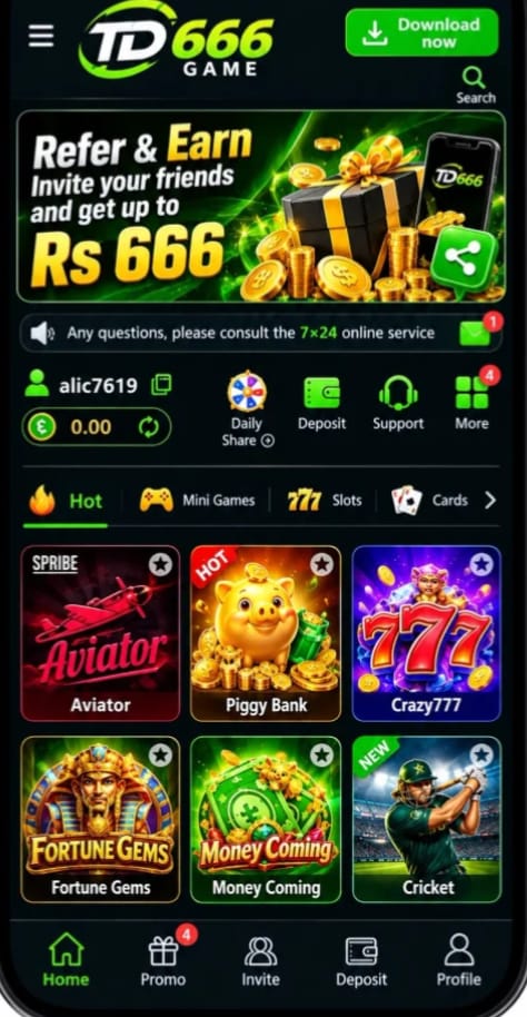 TD666 Game